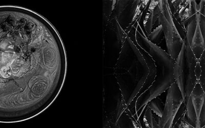 FRACTAL DUALITIES