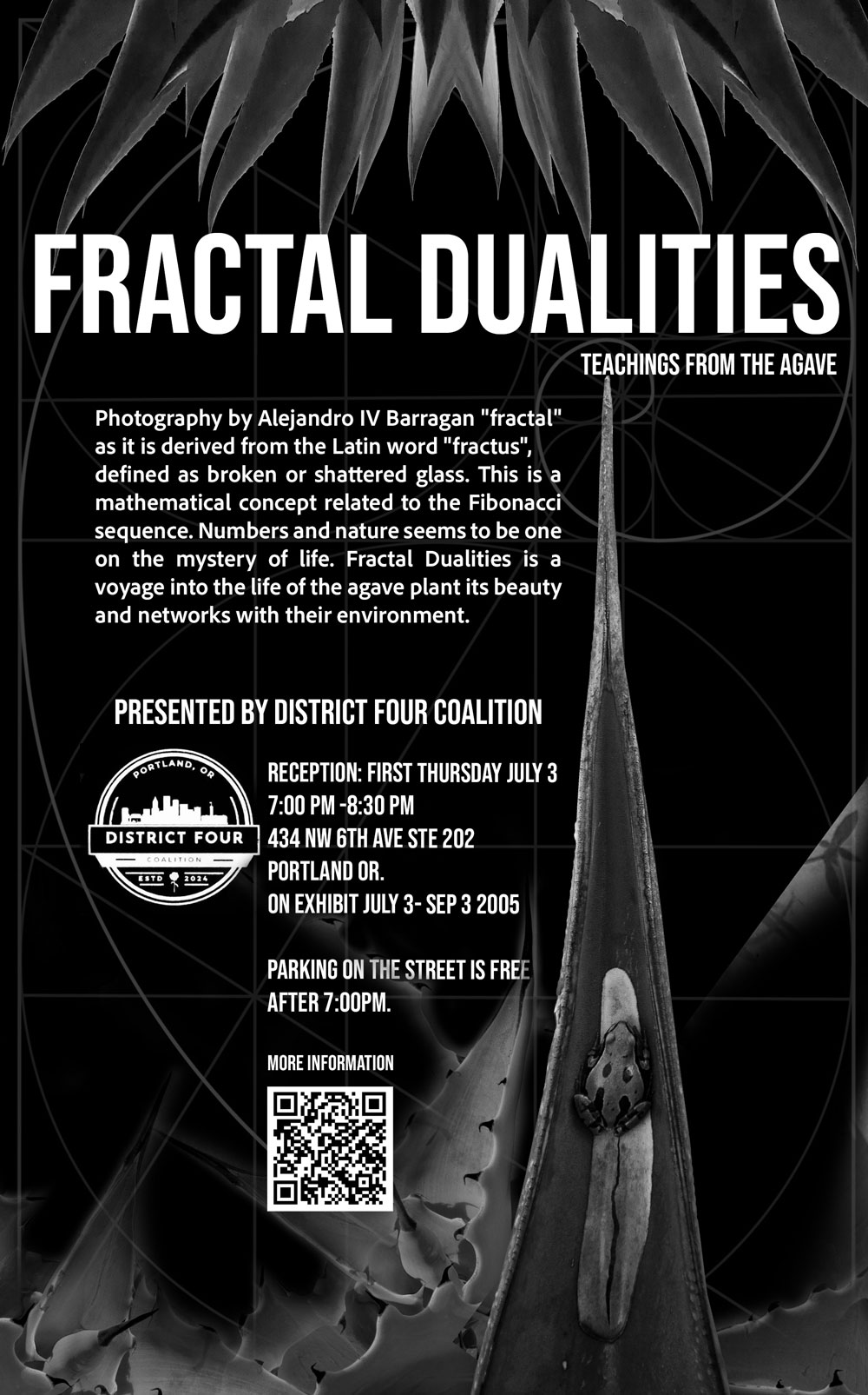 Flyer-Fractal-Dualities